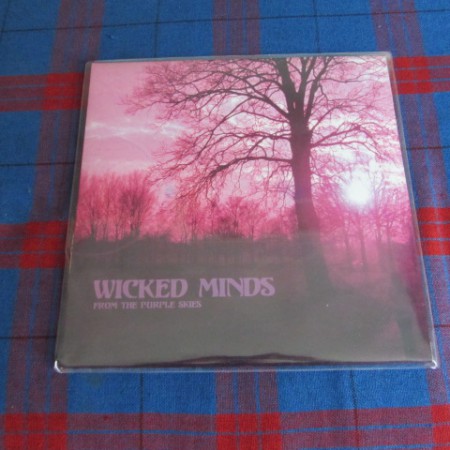 Wicked Minds ‎– From The Purple Skies - 75,00 €